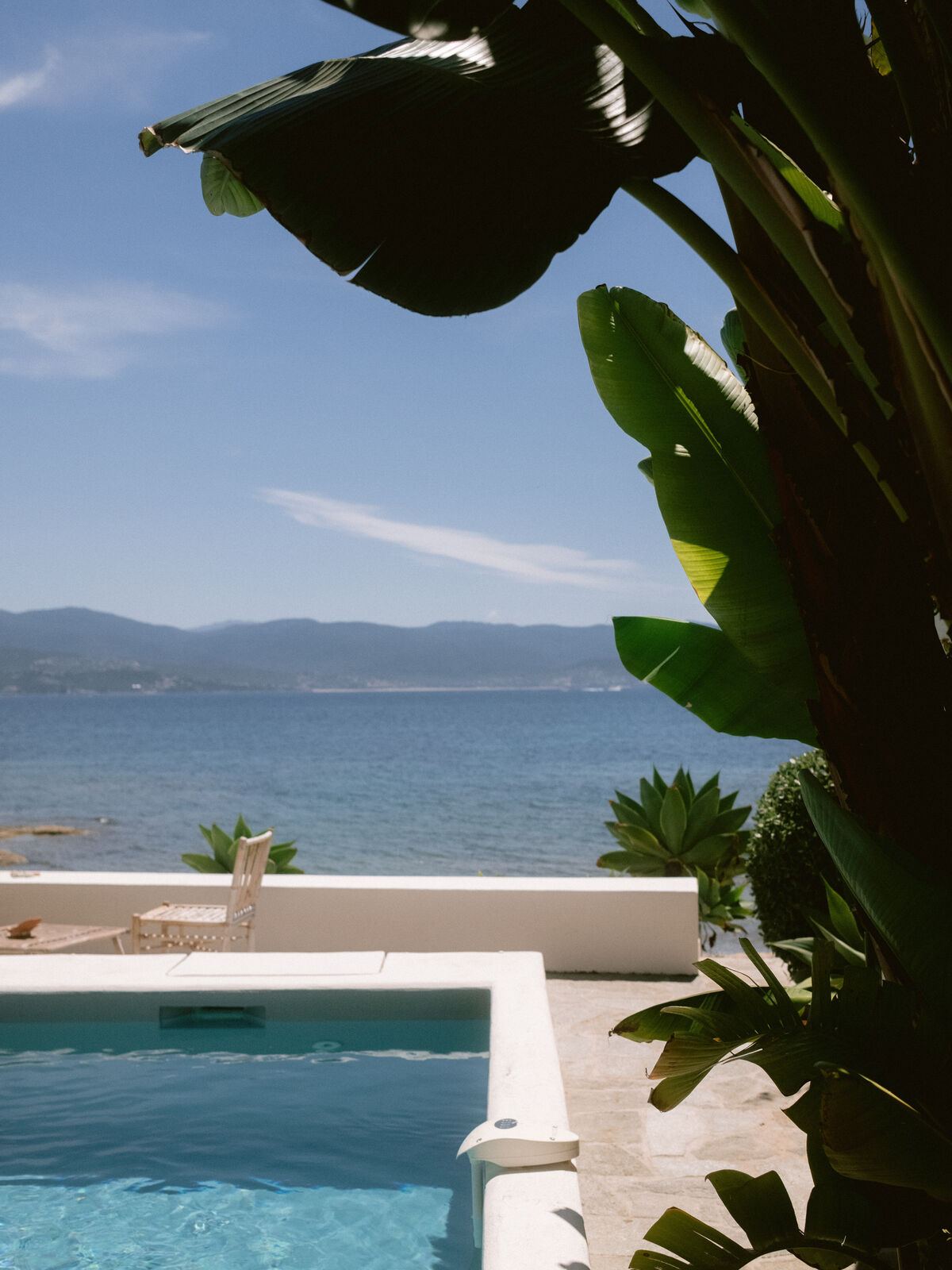Piscine et bananier